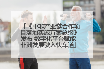 《中非产业链合作项目落地实施方案总纲》发布 数字化平台赋能非洲发展驶入快车道