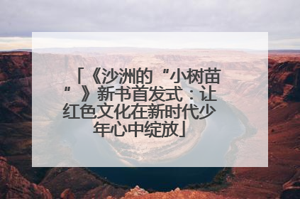 《沙洲的“小树苗”》新书首发式：让红色文化在新时代少年心中绽放
