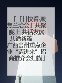「甘快看·聚焦兰洽会」共聚陇上 共话发展 共谱新篇——广西贵州重点企业“请进来”招商推介会扫描