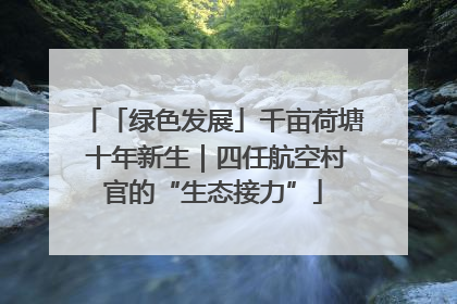 「绿色发展」千亩荷塘 十年新生｜四任航空村官的“生态接力”