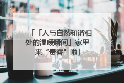 「人与自然和谐相处的温暖瞬间」家里来“贵客”啦