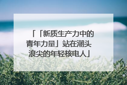 「新质生产力中的青年力量」站在潮头浪尖的年轻核电人