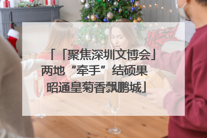 「聚焦深圳文博会」两地“牵手”结硕果 昭通皇菊香飘鹏城