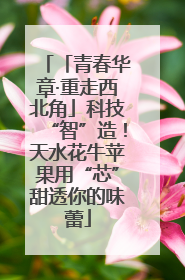「青春华章·重走西北角」科技“智”造！天水花牛苹果用“芯”甜透你的味蕾