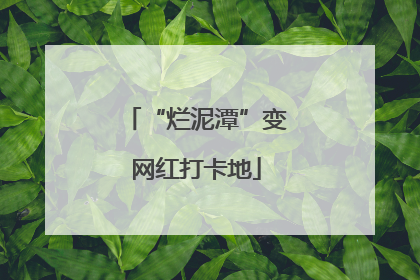 “烂泥潭”变网红打卡地