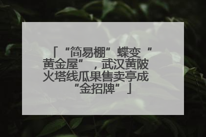 “简易棚”蝶变“黄金屋”，武汉黄陂火塔线瓜果售卖亭成“金招牌”