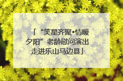 “笑星齐聚•情暖夕阳”老龄慰问演出走进乐山马边县