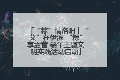 “粽”情洛阳丨“艾”在伊滨 “粽”享露营 端午主题文明实践活动启动