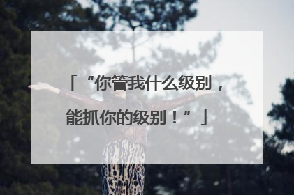 “你管我什么级别，能抓你的级别！”