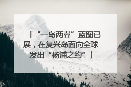 “一岛两翼”蓝图已展，在复兴岛面向全球发出“杨浦之约”