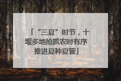 “三夏”时节，十堰多地抢抓农时有序推进夏种夏管