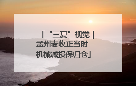 “三夏”视觉｜孟州麦收正当时 机械减损保归仓