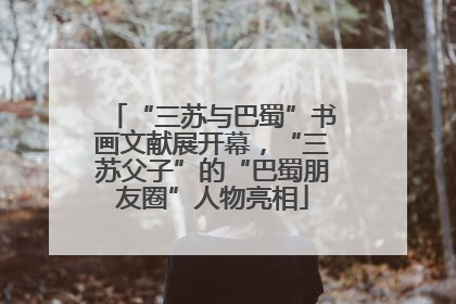 “三苏与巴蜀”书画文献展开幕，“三苏父子”的“巴蜀朋友圈”人物亮相