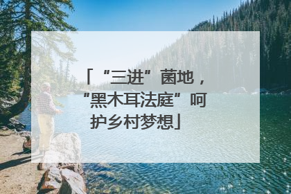 “三进”菌地，“黑木耳法庭”呵护乡村梦想