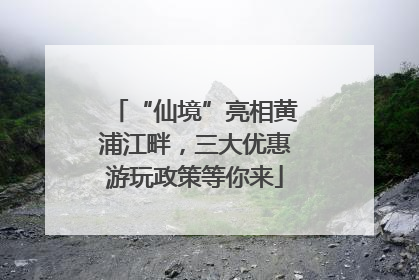 “仙境”亮相黄浦江畔，三大优惠游玩政策等你来