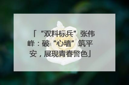 “双料标兵”张伟峰：破“心墙”筑平安，展现青春警色
