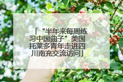 “半年来每周练习中国曲子”美国托莱多青年走进四川南充交流访问