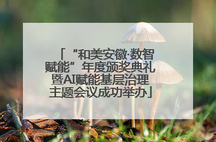 “和美安徽·数智赋能”年度颁奖典礼暨AI赋能基层治理主题会议成功举办