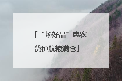 “场好品”惠农贷护航粮满仓