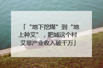 “地下挖煤”到“地上种艾”，肥城这个村艾草产业收入破千万