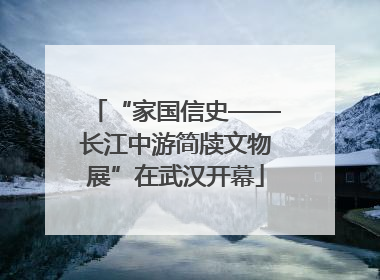 “家国信史——长江中游简牍文物展”在武汉开幕