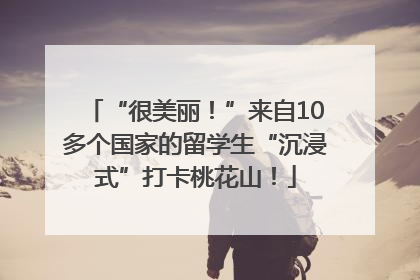 “很美丽！”来自10多个国家的留学生“沉浸式”打卡桃花山！