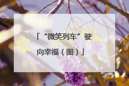 “微笑列车”驶向幸福（图）