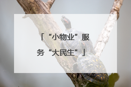“小物业”服务“大民生”