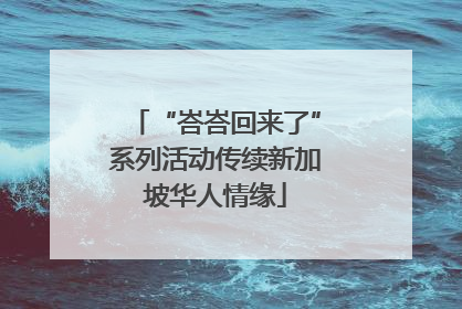 “峇峇回来了”系列活动传续新加坡华人情缘