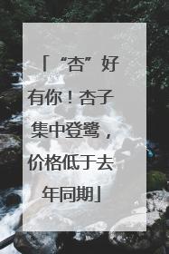 “杏”好有你！杏子集中登鹭，价格低于去年同期