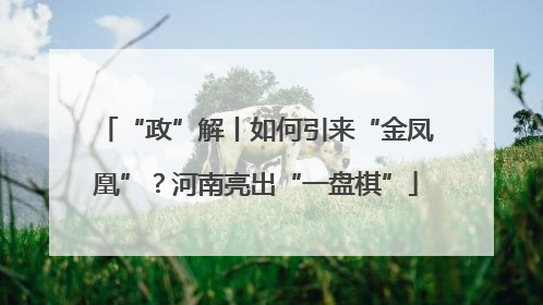 “政”解丨如何引来“金凤凰”？河南亮出“一盘棋”
