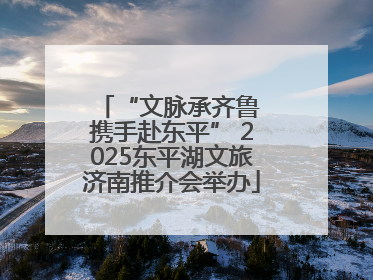 “文脉承齐鲁 携手赴东平” 2025东平湖文旅济南推介会举办