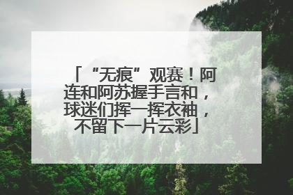 “无痕”观赛！阿连和阿苏握手言和，球迷们挥一挥衣袖，不留下一片云彩