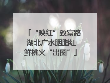“映红”致富路 湖北广水胭脂红鲜桃火“出圈”