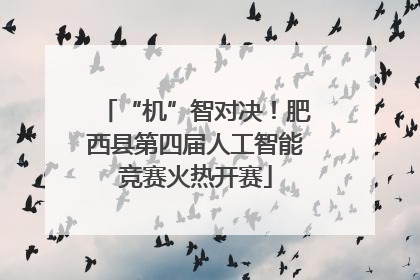 “机”智对决！肥西县第四届人工智能竞赛火热开赛