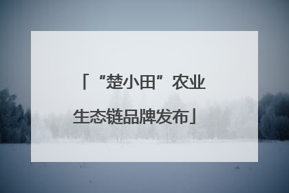 “楚小田”农业生态链品牌发布