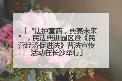 “法护营商，典亮未来”，民法典进园区暨《民营经济促进法》普法宣传活动在长沙举行
