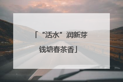 “活水”润新芽 钱塘春茶香