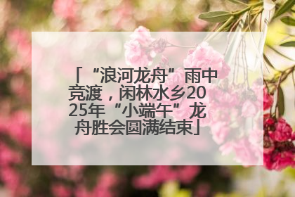 “浪河龙舟”雨中竞渡，闲林水乡2025年“小端午”龙舟胜会圆满结束