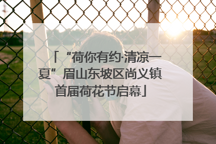“荷你有约·清凉一夏”眉山东坡区尚义镇首届荷花节启幕