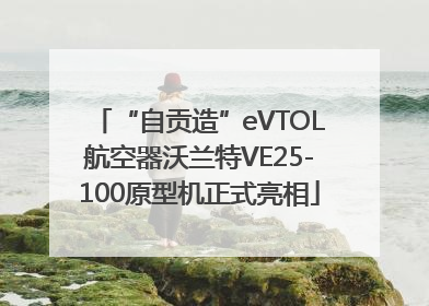“自贡造”eVTOL航空器沃兰特VE25-100原型机正式亮相