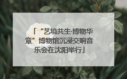 “艺境共生·博物华章”博物馆沉浸交响音乐会在沈阳举行