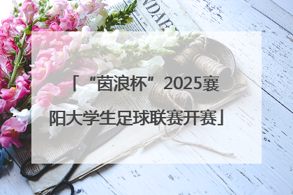 “茵浪杯”2025襄阳大学生足球联赛开赛