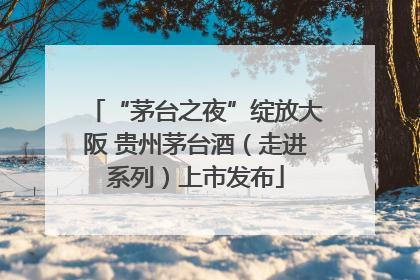 “茅台之夜”绽放大阪 贵州茅台酒（走进系列）上市发布