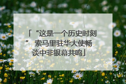 “这是一个历史时刻” 索马里驻华大使畅谈中非银幕共鸣