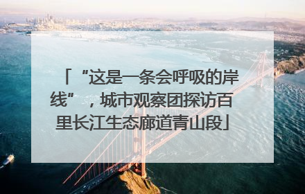 “这是一条会呼吸的岸线”，城市观察团探访百里长江生态廊道青山段