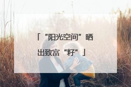 “阳光空间”晒出致富“籽”