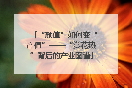 “颜值”如何变“产值”——“赏花热”背后的产业图谱
