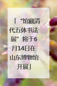 “馆藏清代五体书法展”将于6月14日在山东博物馆开展