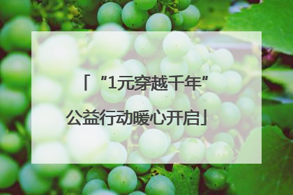 “1元穿越千年”公益行动暖心开启